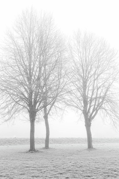 Lichtvast Diest - Chantal Roten - Mist aan de Demer